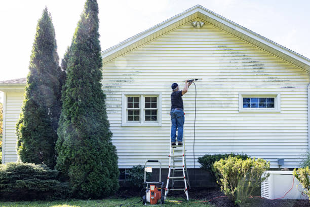 Best Soft Washing for Delicate Surfaces in Greenville, RI
